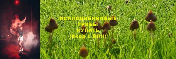 соль ск Надым